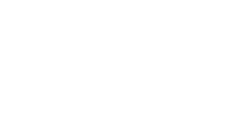 Die-Arche