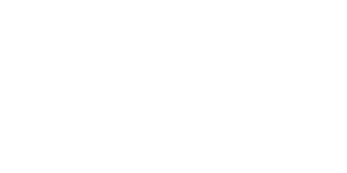 megadin-logo